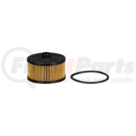 X10570 by ECOGARD - OIL FILTER