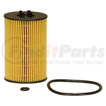 X10435 by ECOGARD - OIL FILTER