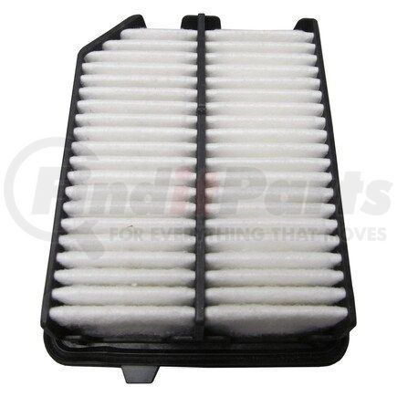 XA10221 by ECOGARD - AIR FILTER