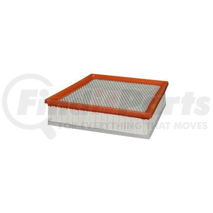 XA10660 by ECOGARD - AIR FILTER