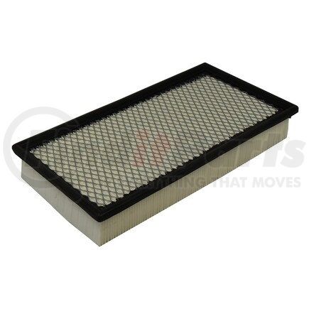 ECOGARD XA5301 Engine Air Filter AIR FILTER