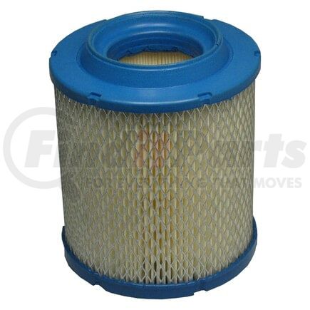 XA5306 by ECOGARD - AIR FILTER