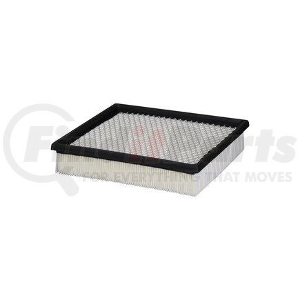 XA5553 by ECOGARD - AIR FILTER