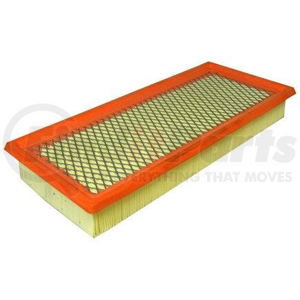 XA5567 by ECOGARD - AIR FILTER