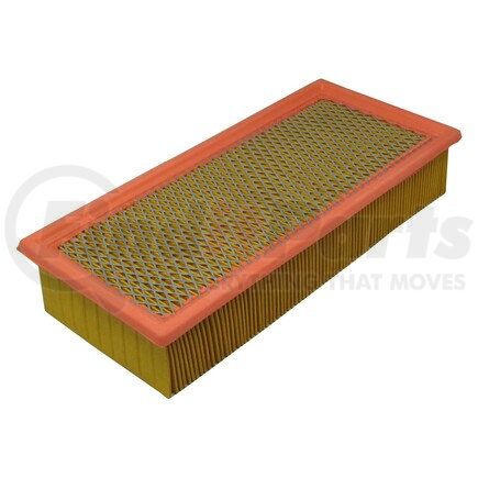 XA5569 by ECOGARD - AIR FILTER