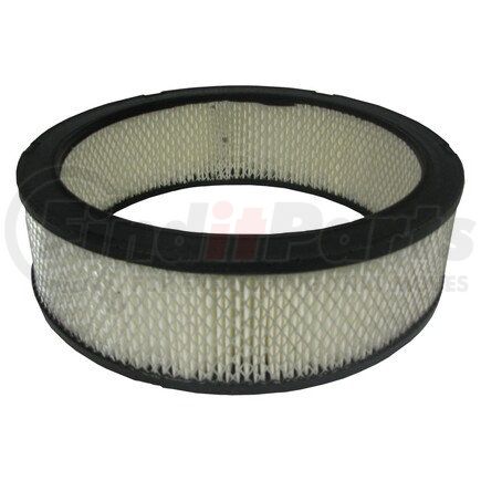 ECOGARD XA91 Engine Air Filter AIR FILTER