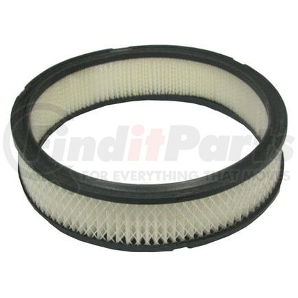ECOGARD XA3474 Engine Air Filter Air Filter