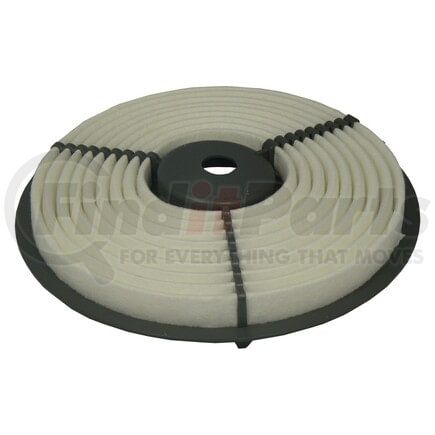 XA4613 by ECOGARD - Air Filter