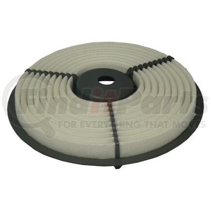 ECOGARD XA4613 Engine Air Filter Air Filter