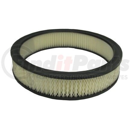 ECOGARD XA831 Engine Air Filter Air Filter
