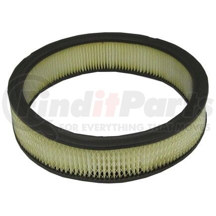 ECOGARD XA84 Engine Air Filter Air Filter