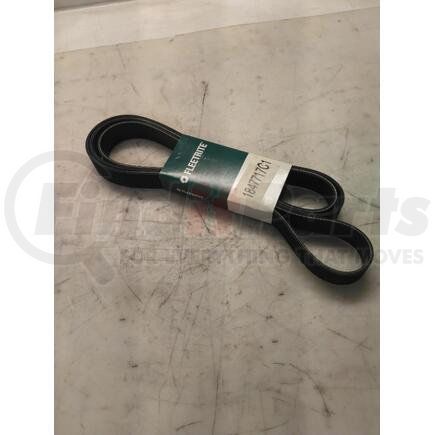 1847717C1 by NAVISTAR - Accessory Drive Belt