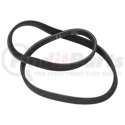 INA FB6DK519 Accessory Drive Belt INA BDC FEAD V-Belt