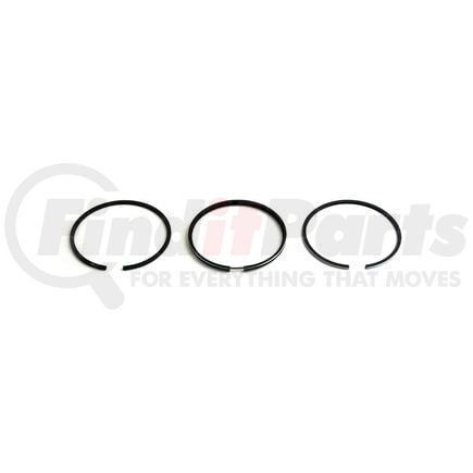 111901496 by RELIANCE POWER PRODUCTS - Piston Ring Set