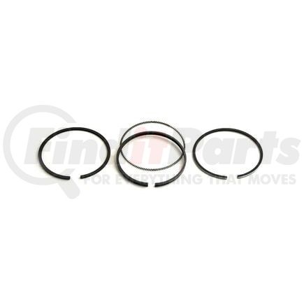 111908737 by RELIANCE POWER PRODUCTS - Piston Ring Set