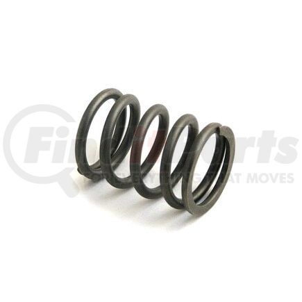 114780108 by RELIANCE POWER PRODUCTS - Valve Spring