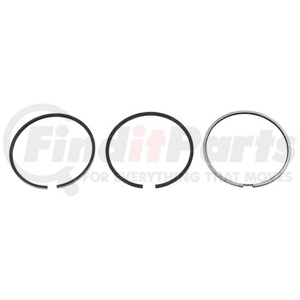 1187316213 by RELIANCE POWER PRODUCTS - Piston Ring Set