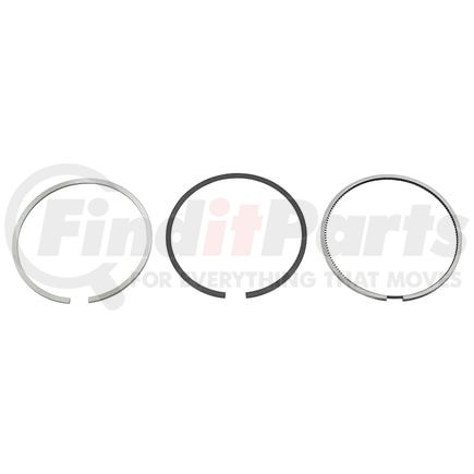 1187316944 by RELIANCE POWER PRODUCTS - Piston Ring Set