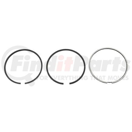 1187316959 by RELIANCE POWER PRODUCTS - Piston Ring Set