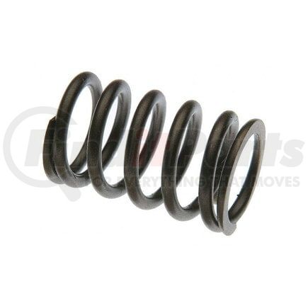 31825540 by RELIANCE POWER PRODUCTS - Valve Spring