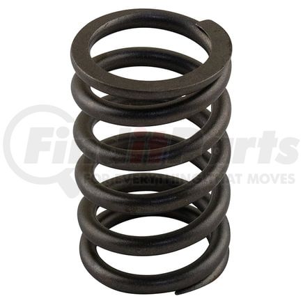 31842146 by RELIANCE POWER PRODUCTS - Valve Spring