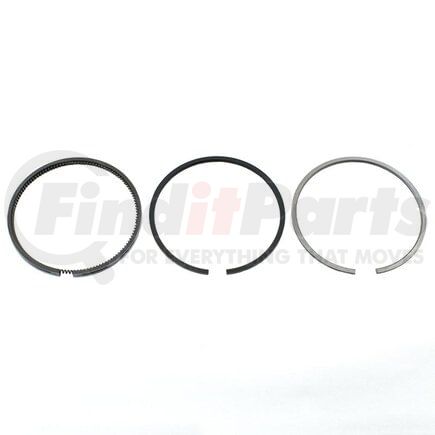 71346907 by RELIANCE POWER PRODUCTS - Piston Ring Set