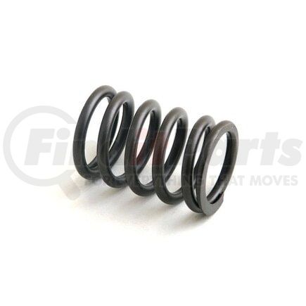 73055060 by RELIANCE POWER PRODUCTS - Valve Spring