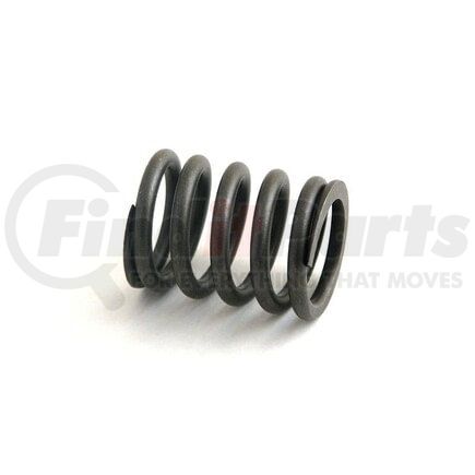 H9N3617 by RELIANCE POWER PRODUCTS - Valve Spring