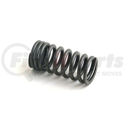 7368450 by RELIANCE POWER PRODUCTS - Valve Spring
