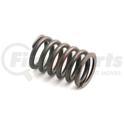 7677349 by RELIANCE POWER PRODUCTS - Valve Spring