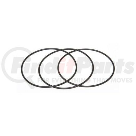 7680086 by RELIANCE POWER PRODUCTS - Liner Sealing Ring Kit