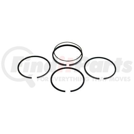 F161116 by RELIANCE POWER PRODUCTS - Piston Ring Set