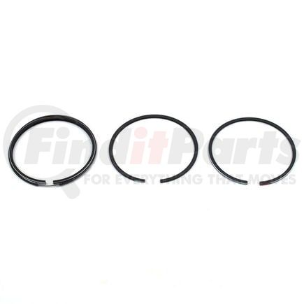 F161184 by RELIANCE POWER PRODUCTS - Piston Ring Set