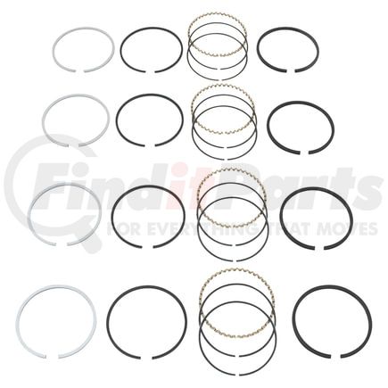 F161361 by RELIANCE POWER PRODUCTS - Piston Ring Set