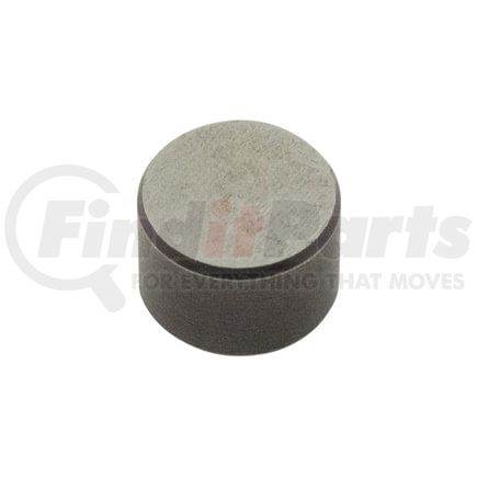 F8EQ6550A by RELIANCE POWER PRODUCTS - Valve Stem Cap