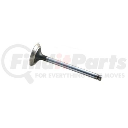 M3142D031 by RELIANCE POWER PRODUCTS - Exhaust Valve