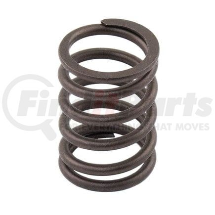 M198216700 by RELIANCE POWER PRODUCTS - Valve Spring