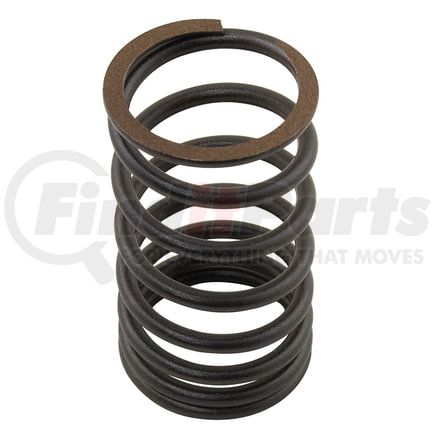 M31745121 by RELIANCE POWER PRODUCTS - Valve Spring