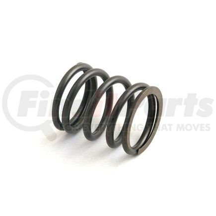 M31745122 by RELIANCE POWER PRODUCTS - Valve Spring