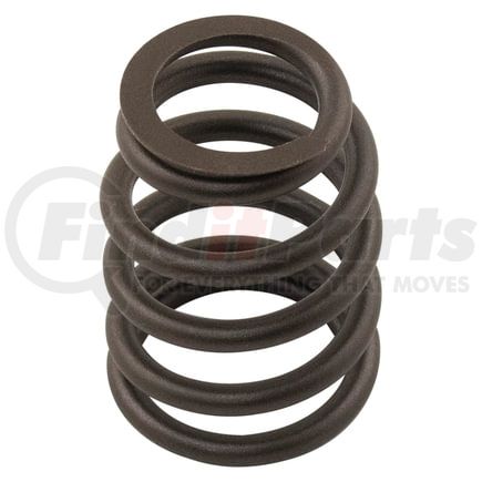 M3174A016 by RELIANCE POWER PRODUCTS - Valve Spring