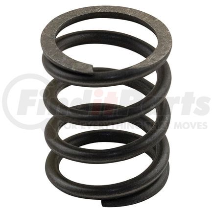 M3174P002 by RELIANCE POWER PRODUCTS - Valve Spring