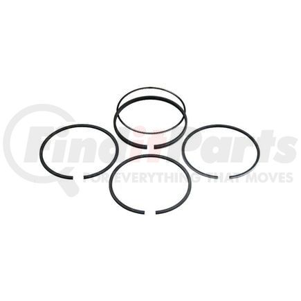 M41158118 by RELIANCE POWER PRODUCTS - Piston Ring Set