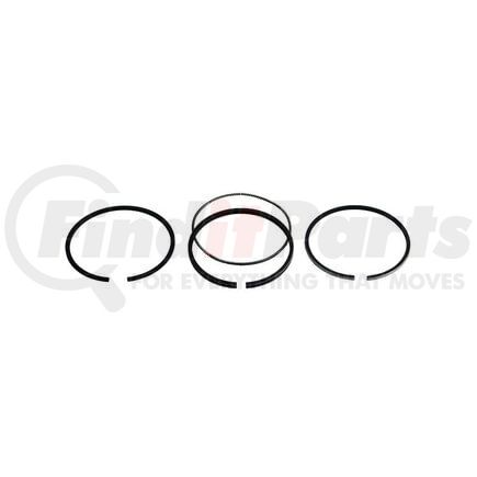 NAR55759 by RELIANCE POWER PRODUCTS - Piston Ring Set