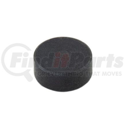 NR40366 by RELIANCE POWER PRODUCTS - Valve Stem Cap