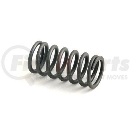 NR49569 by RELIANCE POWER PRODUCTS - Valve Spring