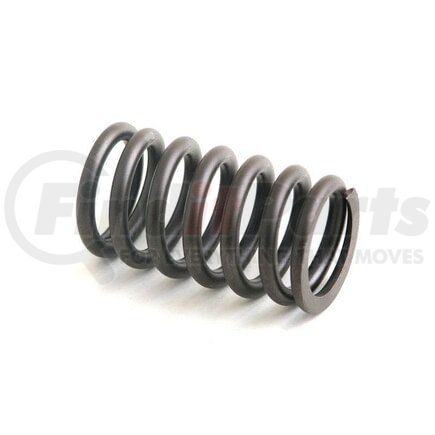 NR91822 by RELIANCE POWER PRODUCTS - Valve Spring