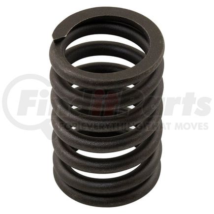 R402091313 by RELIANCE POWER PRODUCTS - Valve Spring