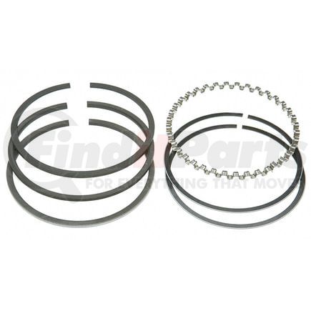 RP101116 by RELIANCE POWER PRODUCTS - Piston Ring Set