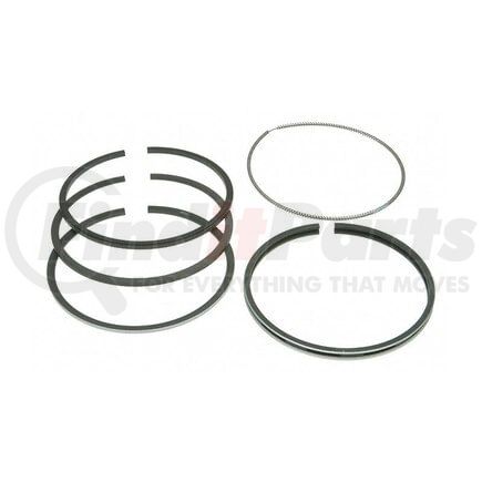 RP101113 by RELIANCE POWER PRODUCTS - Piston Ring Set