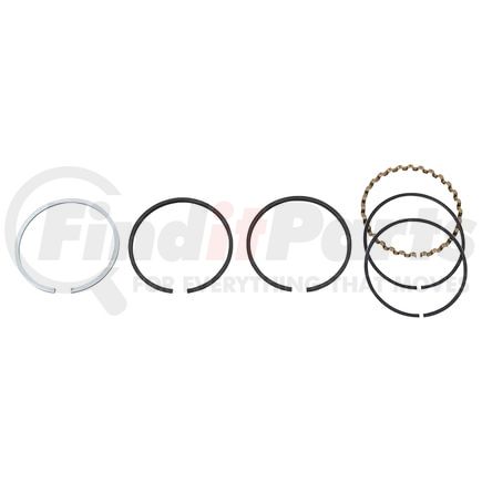 RP101161 by RELIANCE POWER PRODUCTS - Piston Ring Set